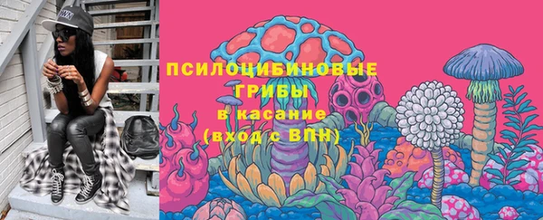 мдпв Вуктыл
