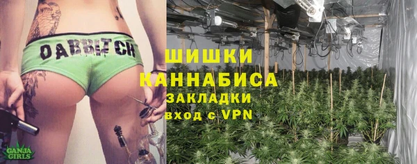 МДПВ Абаза