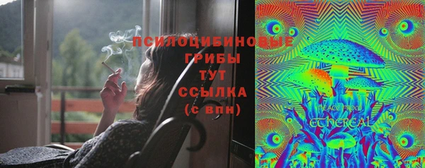 МДПВ Абаза